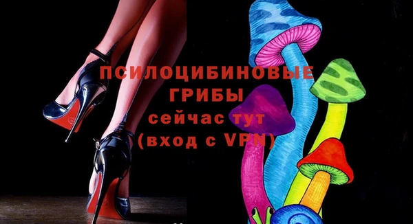 тгк Аркадак