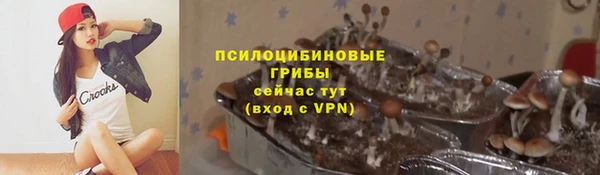 тгк Аркадак