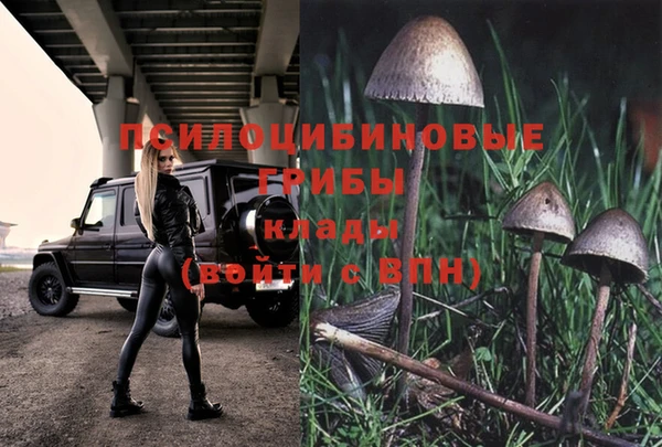a pvp Баксан