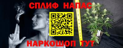 ешки Дубна