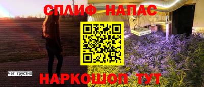 ешки Дубна