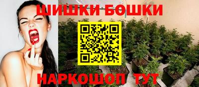 ешки Дубна